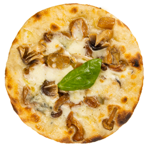 Sottobosco